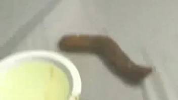 Massive turd from a Japanese chick