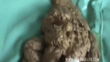 Young woman defecating early in bed