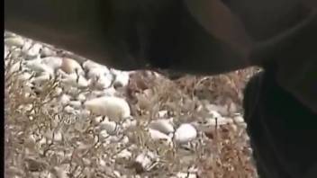 Taking turns peeing and pooping as a group